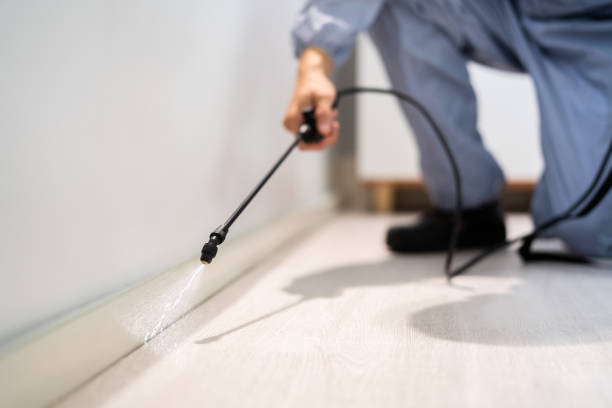 Licensed Termite Control service in Irwin County County, GA - Nex Pest Control