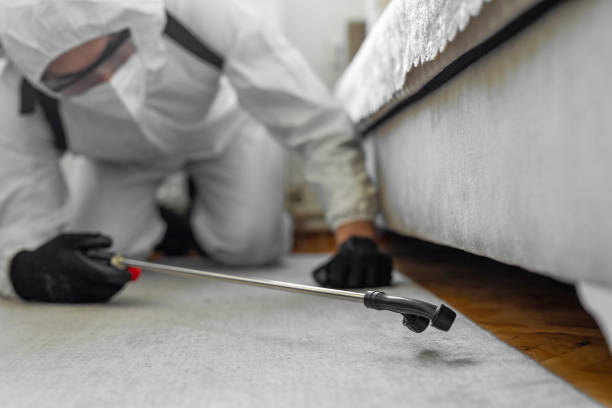 Professional Termite Control technician working in Irwin County County, GA